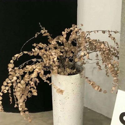 宿松FurryQQ群介绍